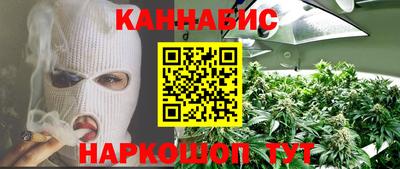 сатива Волжский