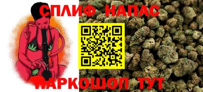 сатива Волжский