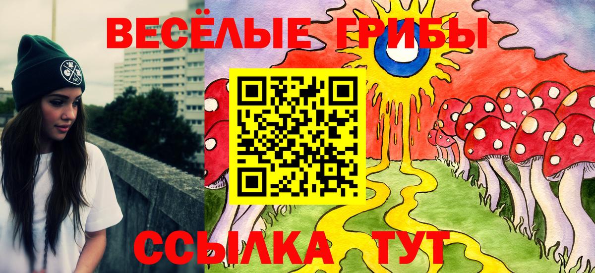 Моздок  Псилоцибиновые грибы ЛСД  цены наркотик  Вход с VPN 